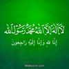 user7725811682183