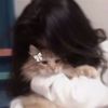 its_me_seytuun