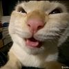 rizzz_009