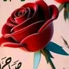 user069947814
