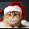 christmas_cat19