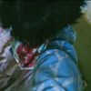 _andriansyah_putra
