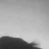 user3111931760729
