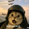 agus.salam38