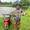 anh.gip518