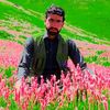 khasitarahman29