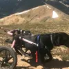 helplunarunagain