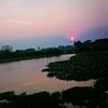 zin_mar_5