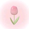 wildaa_2377