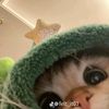 pinkkee1234p