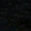 user794521922043