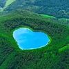 gulnar_1111324
