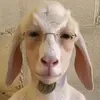 mreatyapussy