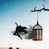 ahmadramzan9435