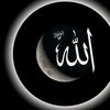 sakib.sami5454