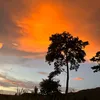 tâmtrạng
