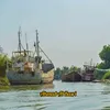 أحمد البصري