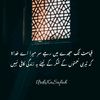 user700561997