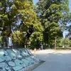 vid.mozin