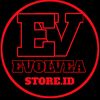 evolvea313