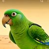 user1990691075