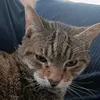 itsmonkey_hi