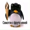 pinkod17