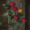 mitu.akter0099