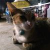 iwanr3704
