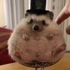 emmanuelgomez777