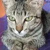 maria.das.dores6687
