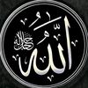 zineeddine261