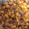 simoradi58