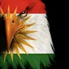afrin366bulbul
