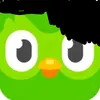 davizin_318