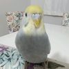 aydin.nayir