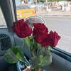 salma.gnidy