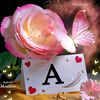 ahmed.elsify98