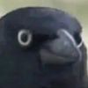fubg117