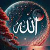 user20835468203930