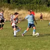 jake_dale6
