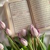 quran