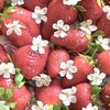 s1rawberry_jem