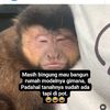 tiang.alit447