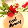 sang.bui432