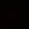 aves_92