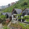 THẢO HOMESTAY TAM ĐẢO