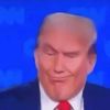 brrbrrpatapim3267