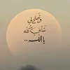 merouaninofal
