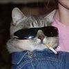 chillkitty74